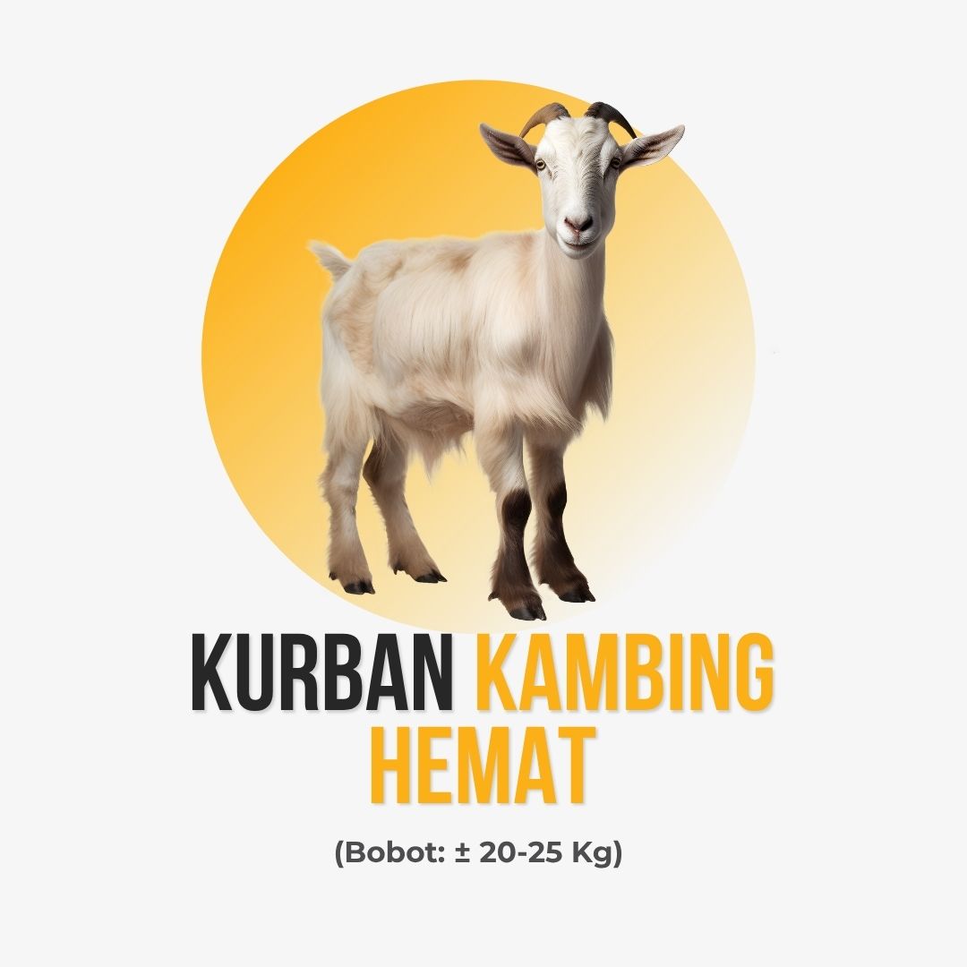 Kambing Hemat