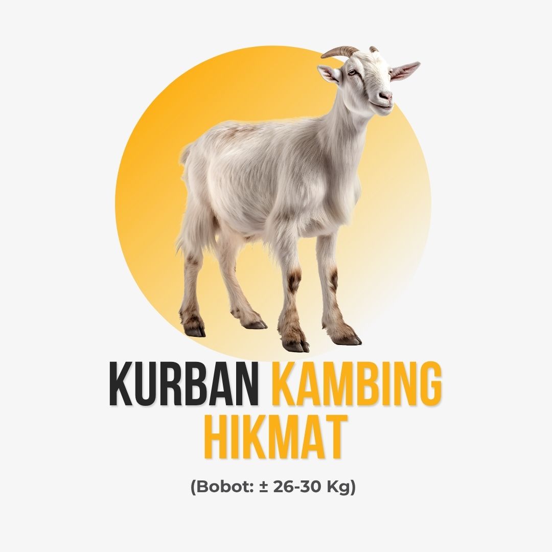 Kambing Hikmat
