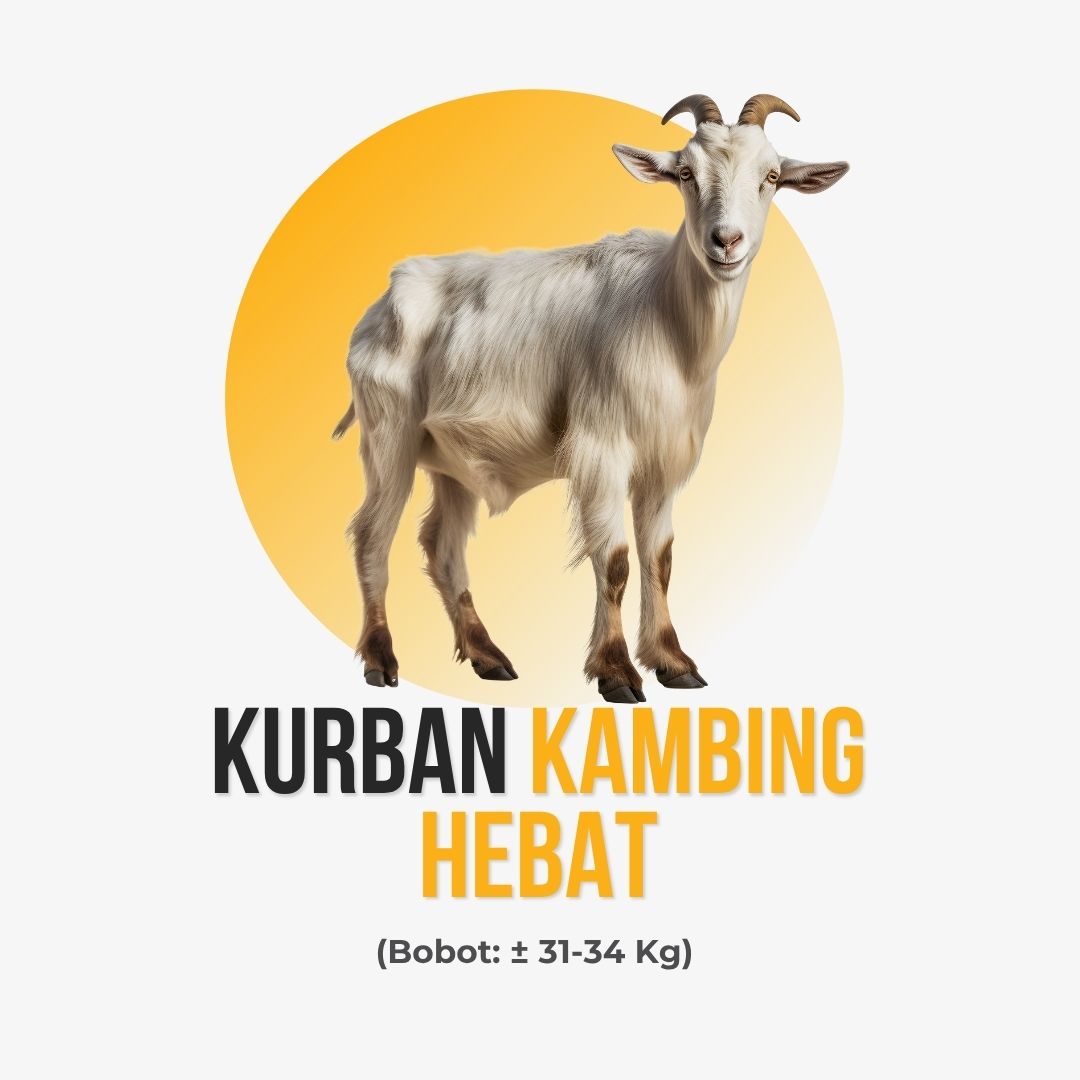 Kambing Hebat