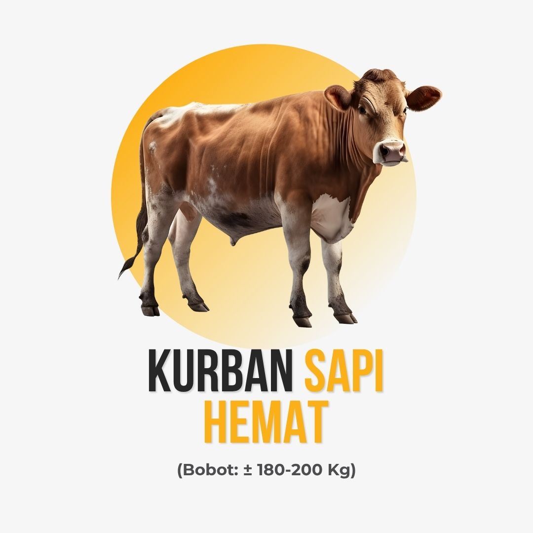 Sapi Hemat