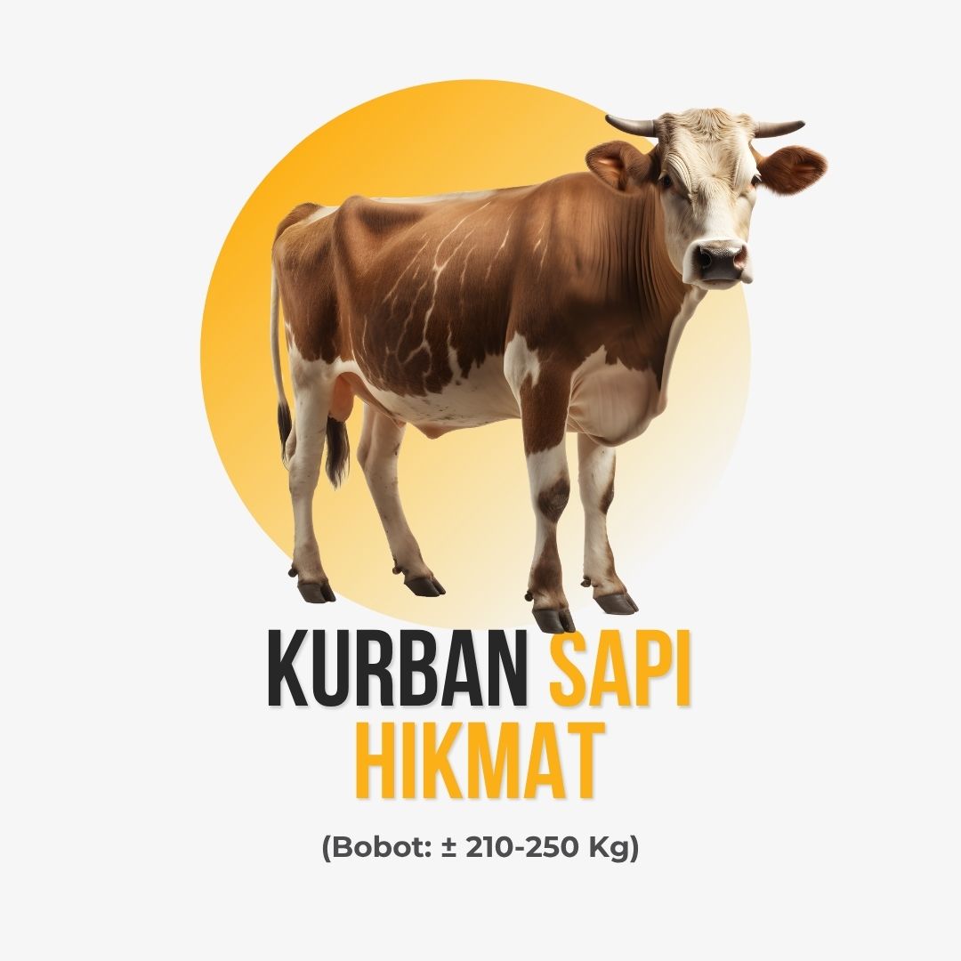 Sapi Hikmat