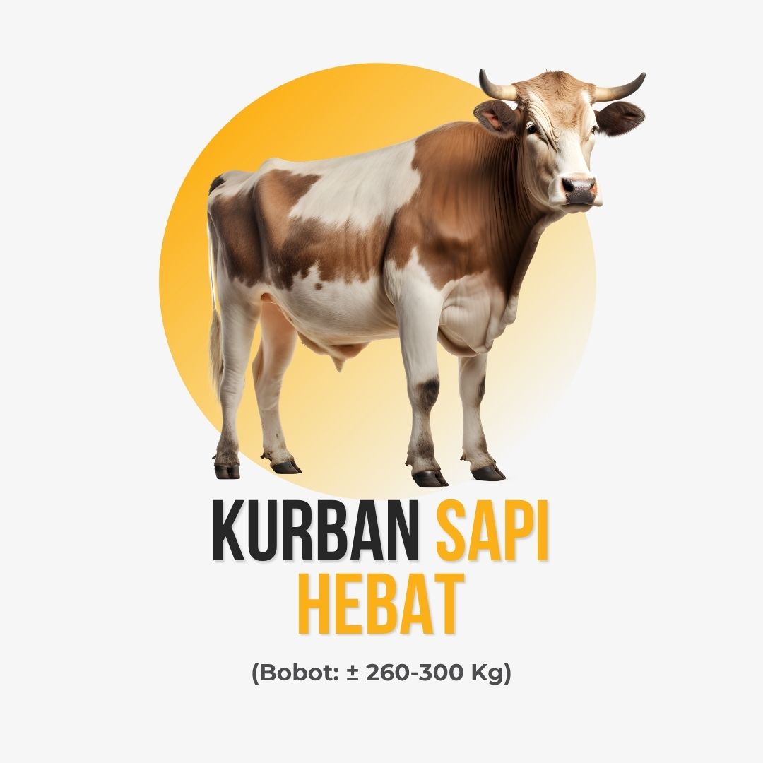Sapi Hebat